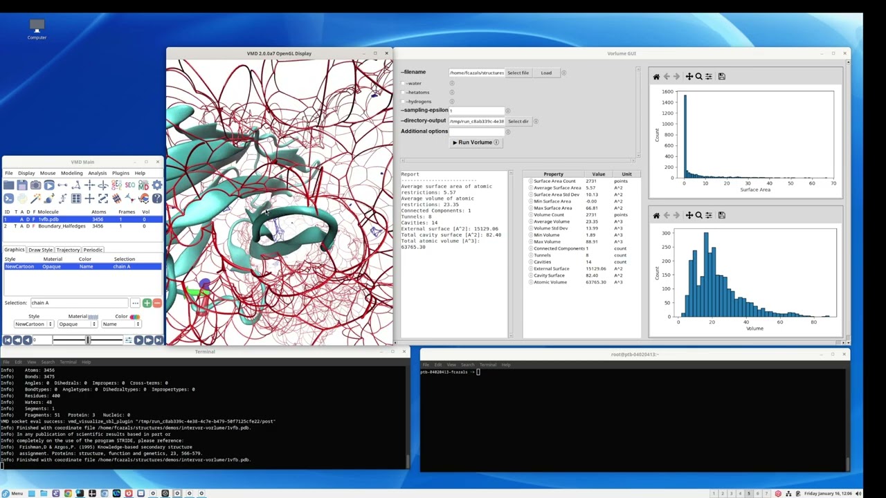 Vorlume -- molecular surfaces and volumes
