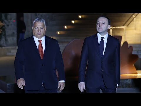 ღარიბაშვილისა და პუტინის მეგობარი საქართველოს კანდიდატის სტატუსს საფრთხეს უქმნის