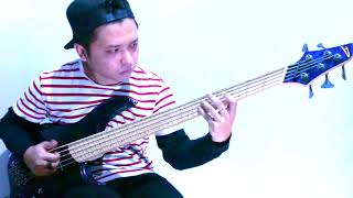 Intervals - Rubicon Artist Bass Cover Dingwall Ng3