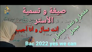 صيغة و تسمية الأستر: أنت تسأل و أنا أجيب، بشكل مبسط و دقيق شرح تفصيلي