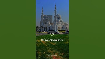 القارئ الشيخ وليد فاضل العبيدي في ناحيه البغدادي في محافظه الانبار
