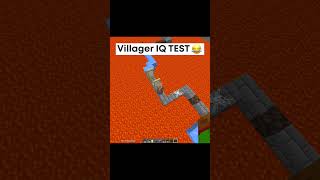 Villager Iq Test In Minecraft! 😂 #Shorts