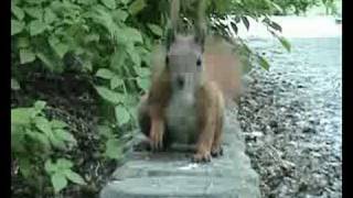 Ich Schau Mal Kurz Vorbei...