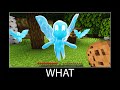 Minecraft wait what meme part 129 realistic minecraft Allay