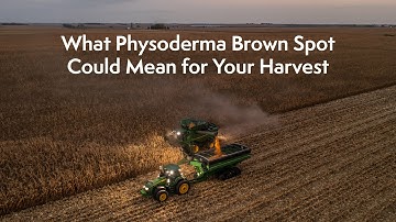 What Physoderma Brown Spot Could Mean for Your Harvest | Virtual Agronomist