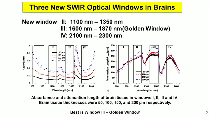 Robert Alfano: Advances in Noninvasive Optical Bio...
