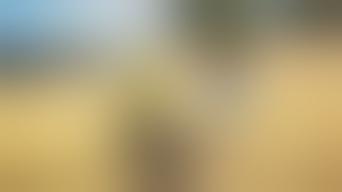 Rust why you never give up