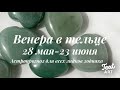 ВЕНЕРА -планета любви и денег в ТЕЛЬЦЕ 28 мая - 23 июня♉ Астропрогноз для всех знаков зодиака