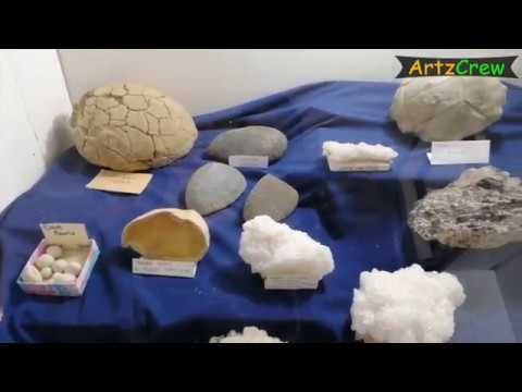 Knowledge of Stones | Explore & Fun | Visit Pelorus River from ...