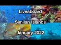 Diving Thailand - Liveaboard Similan Islands - January 2022