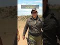 A Fuzzy Safe Haven For The LGBTQ Community Lgbtqia Alpachas Ranch Queer Animals Animal Shorts A Fuzzy Safe Haven For The LGBTQ Community Lgbtqia Alpachas Ranch Queer Animals Animal Shorts