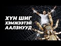 БИД 25 САЯ ТОНН ААЛЗТАЙ ЦУГ АМЬДАРЧ БАЙНА!!!