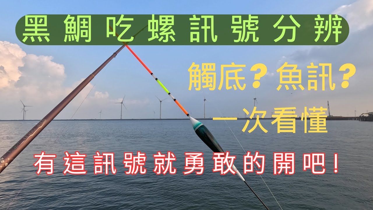 觸底?魚訊?一次看懂 把握魚兒靠岸一竿接一竿 黑鯛吃餌訊號