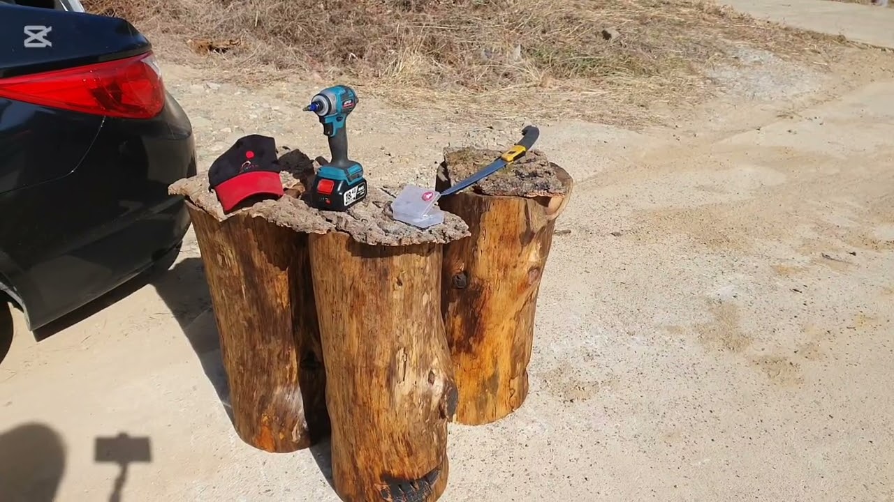 소나무 설통 설치