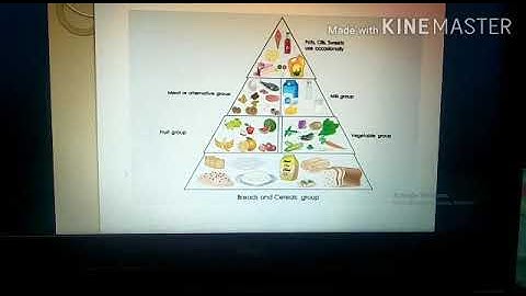 MLZS JHANSI CLASS 3 EVS Food and Balanced Diet Lecture 2