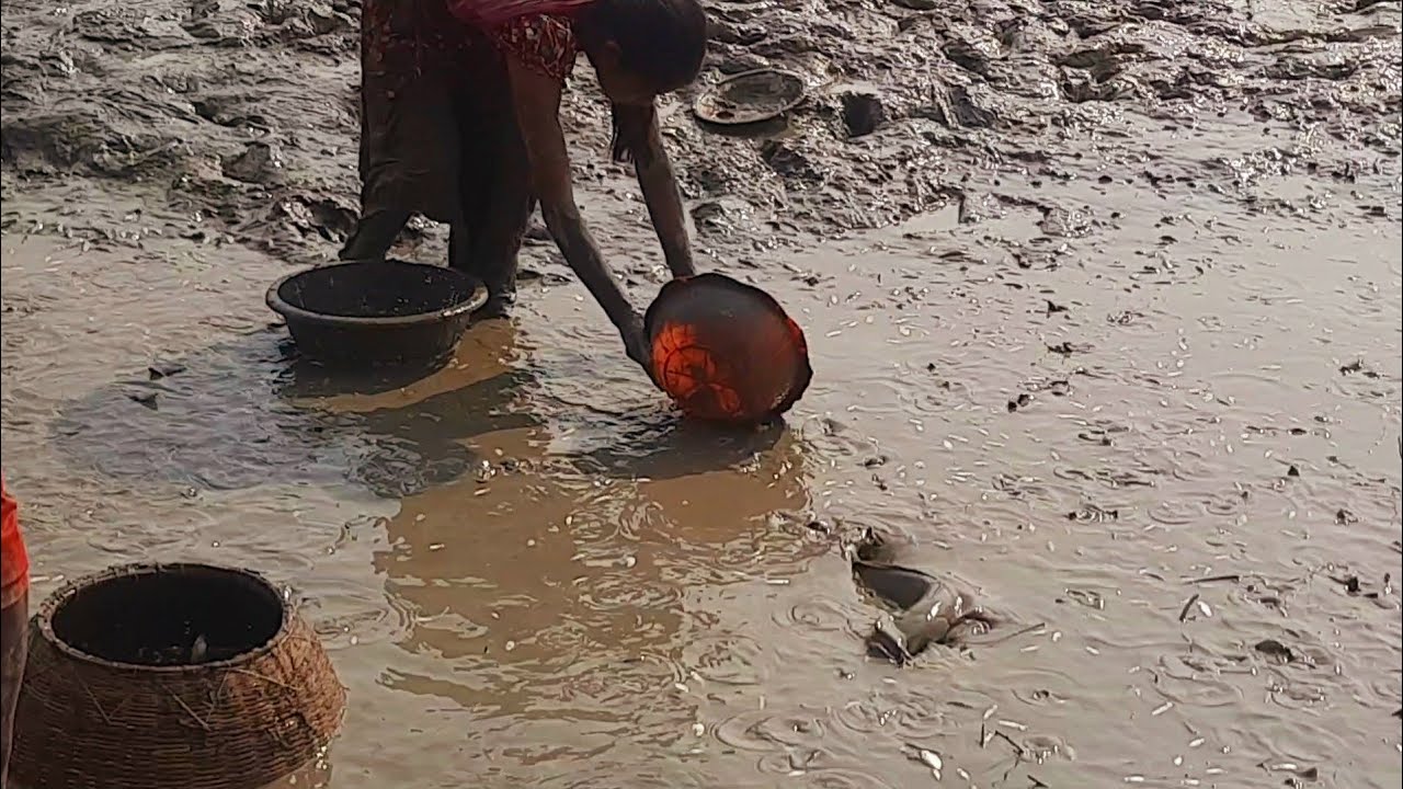 Poor people fishing in Muddy Ground | Village fishing | Planet plus tv ...