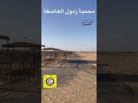 محمية زمول العاصفة