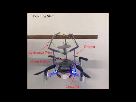 Compliant Passive Gripper