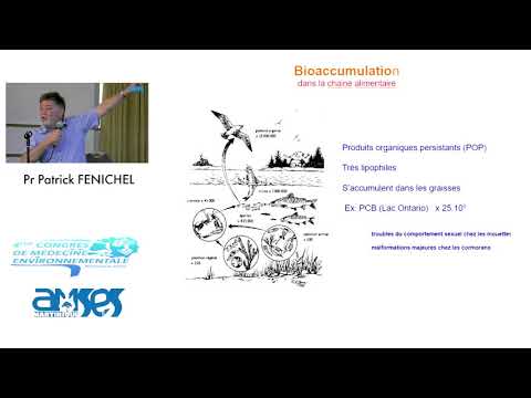 Vidéo: La bioaccumulation conduit-elle toujours à la bioamplification ?