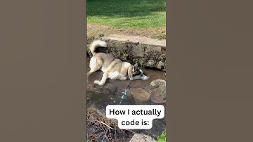 Programming: Expectations vs Reality #shorts