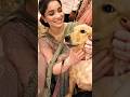 sara tendulkar dog lovar#cricket #celebrity #love #gill #viral #ytshorts #sachintendulkar