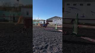 #horsegirl #foryou #foyryoupage #horse #showjumping #showjumping #youngriders #foyryoupage