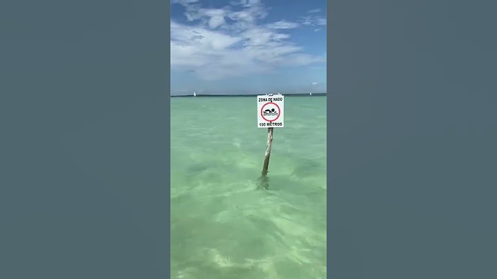 ¡No vayas a Bacalar! 🚫