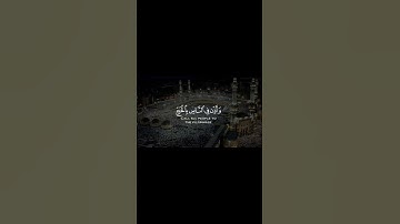 تلاوه من سورة الحج _ تلاوه خاشعه _ القارئ الشيخ ماهر المعيقلي