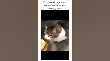 Funny Video Part7 #shorts #comedy #trending