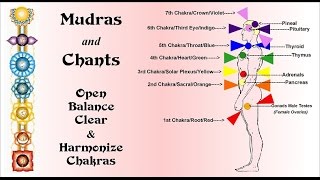 Chakra Meditation with Mudras & Chants