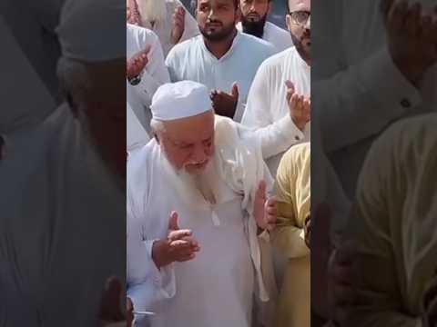 Hazrat Molana Mian