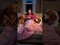 Midnight Cuddles #calgary #business #pets