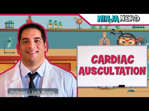 Cardiac Auscultation | Eko DUO