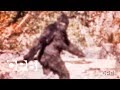 The Film That Made Bigfoot A Star