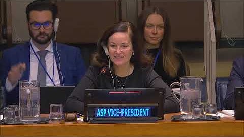 ASP22: Seventh plenary meeting – Progress reports by the Coordinators, 12 December 2023 AM ENGLISH