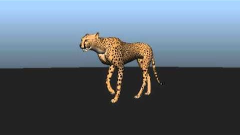 3D Cheetah Walk Cycle