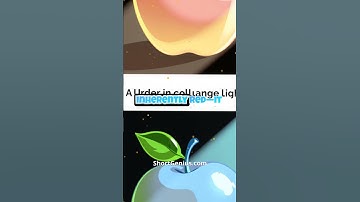 The Science of Color and Perception