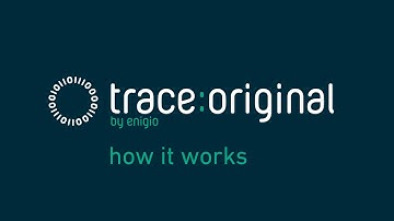 trace:original how it works