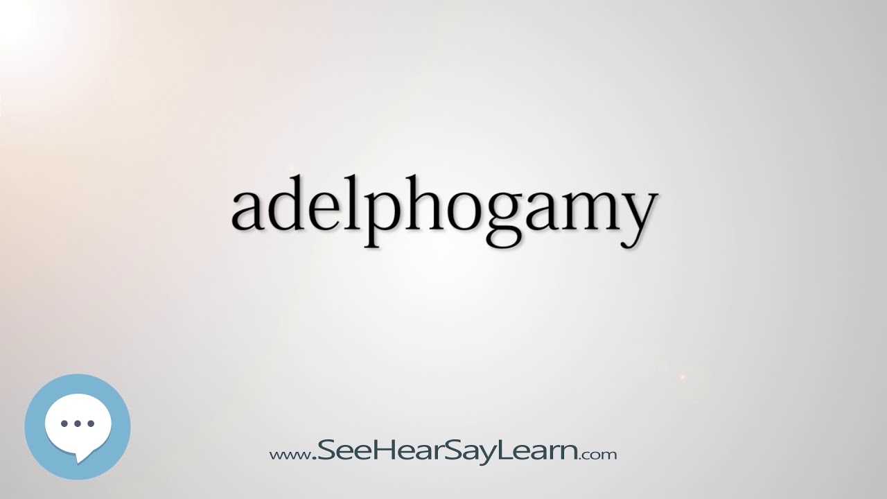 Adelphogamy Every English Word Pronounced YouTube