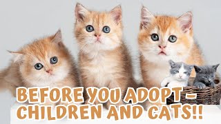 adopting a cat tips - what is the best age cat to adopt? by Doweelant 48 views 11 months ago 3 minutes, 35 seconds