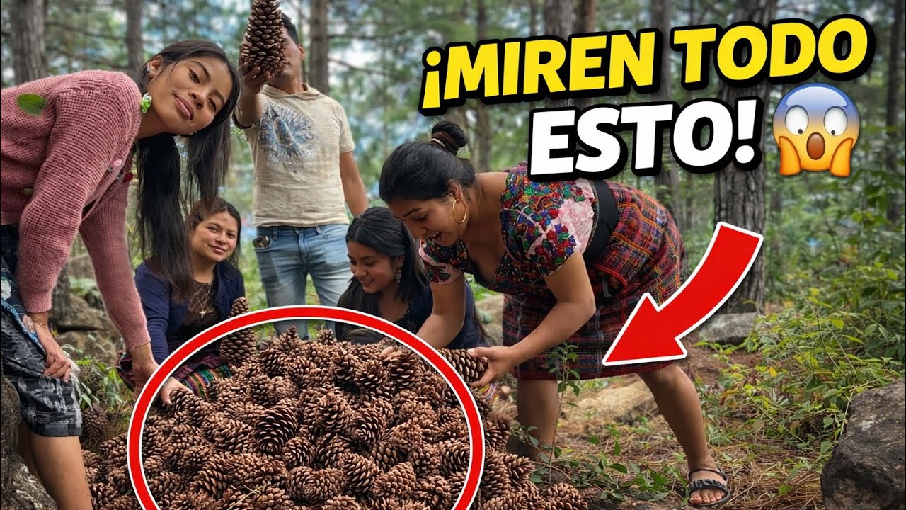 Salimos A BUSCAR Chicuyas En El BOSQUE, Para Nuestra FOGATA