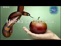 Tantara RNM: HELOKA SA FAHOTANA #gasyrakoto