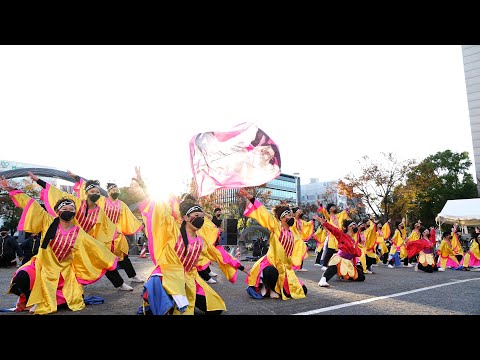 愛知淑徳大学『鳴踊』 @ 四日市よさこい祭り (市民公園会場) 2021-11-28T15:48