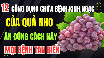 12 Công Dụng Chữa Bệnh Đáng Kinh Ngạc Của Quả Nho. Ăn Đúng Cách Này Cơ Thể Khỏe Gấp 10 Lần