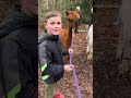 Discover the joy of alpacas this weekend! #family
