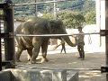 ナマリーちゃんのトレーニング 2018.8.5