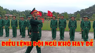 HUẤN LUYỆN ĐIỀU LỆNH ĐỘI NGŨ QUÂN ĐỘI NHÂN DÂN VIỆT NAM
