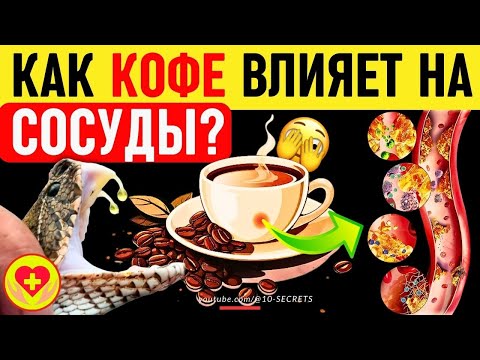 Как кофе влияет на сосуды? Кому можно, а кому нельзя пить кофе? ☕️