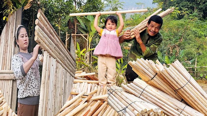 Phuc Ha Finished Her Private Bathroom — Grandpa Praises Her Clever Hands