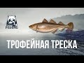 ТРОФЕЙНАЯ ТРЕСКА | Русская Рыбалка 4 | Норвежское Море